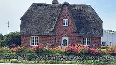 Sylt (160)